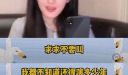 赵姐每日爆料最新消息,每日爆料最新动态，带你洞察娱乐圈风云