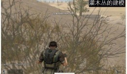 端游吃鸡通行证最新爆料,全新爆料揭示神秘内容与玩法