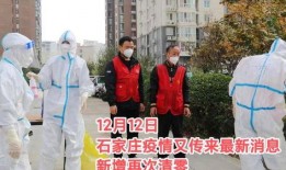 石家庄最新爆料疫情,多区域调整防控措施，防控形势持续关注