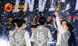 世界冠军最新爆料,巅峰背后的不为人知故事