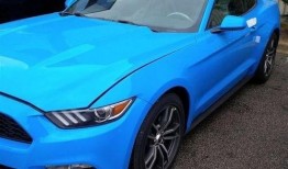 山西野马爆料最新消息,揭秘神秘项目背后的真相