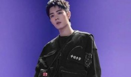 肖战和张予曦最新爆料,揭秘幕后故事与情感纠葛