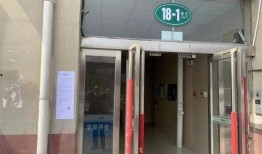 卖惨夫妻爆料视频大全最新,真实与虚假的较量