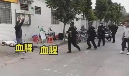 东莞凤岗爆料案件最新,真相揭秘，疑云重重！
